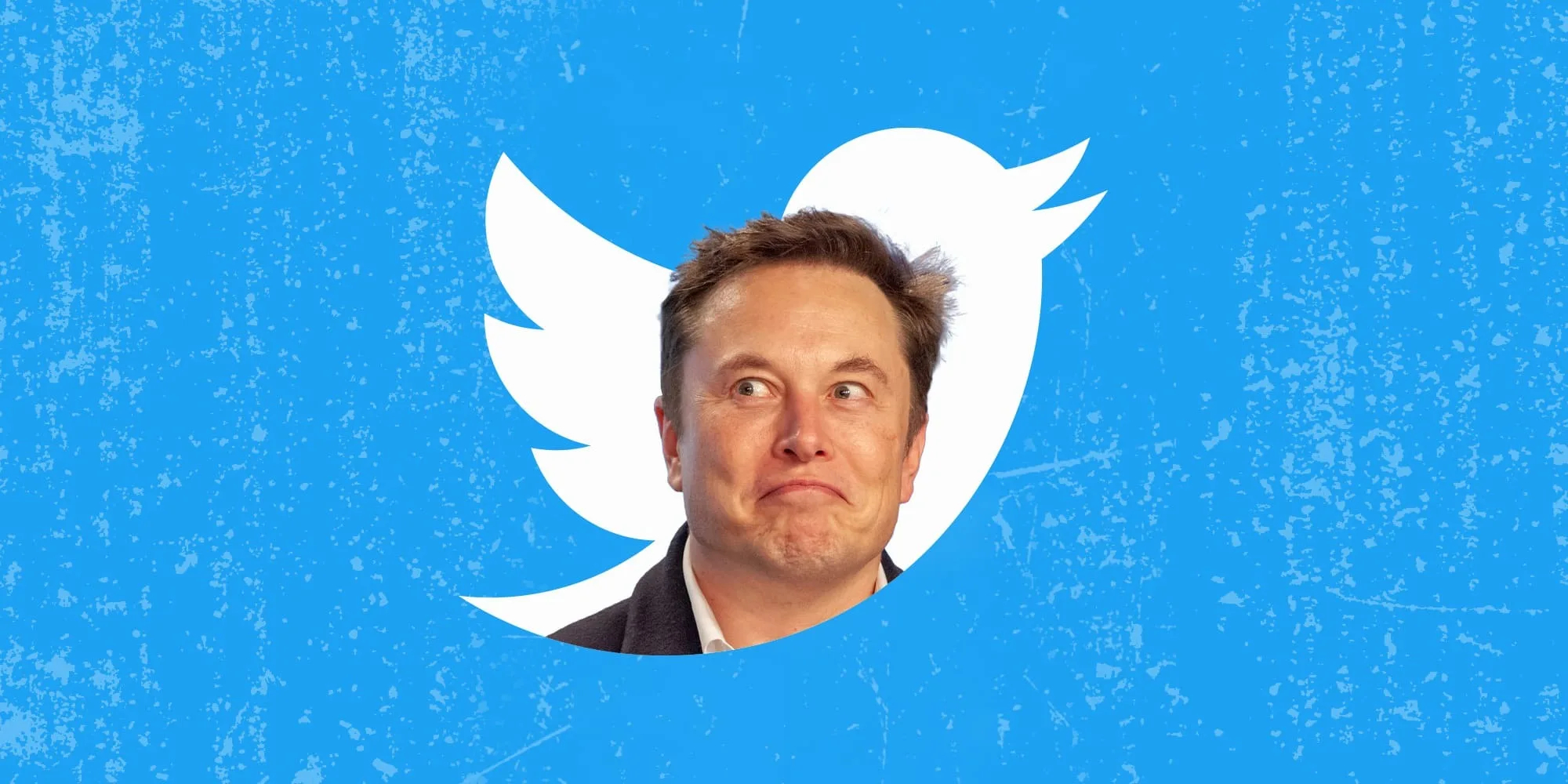 Ilon Mask g'azablandi: Twitter boshqa platformalarni reklama qilishni taqiqladi